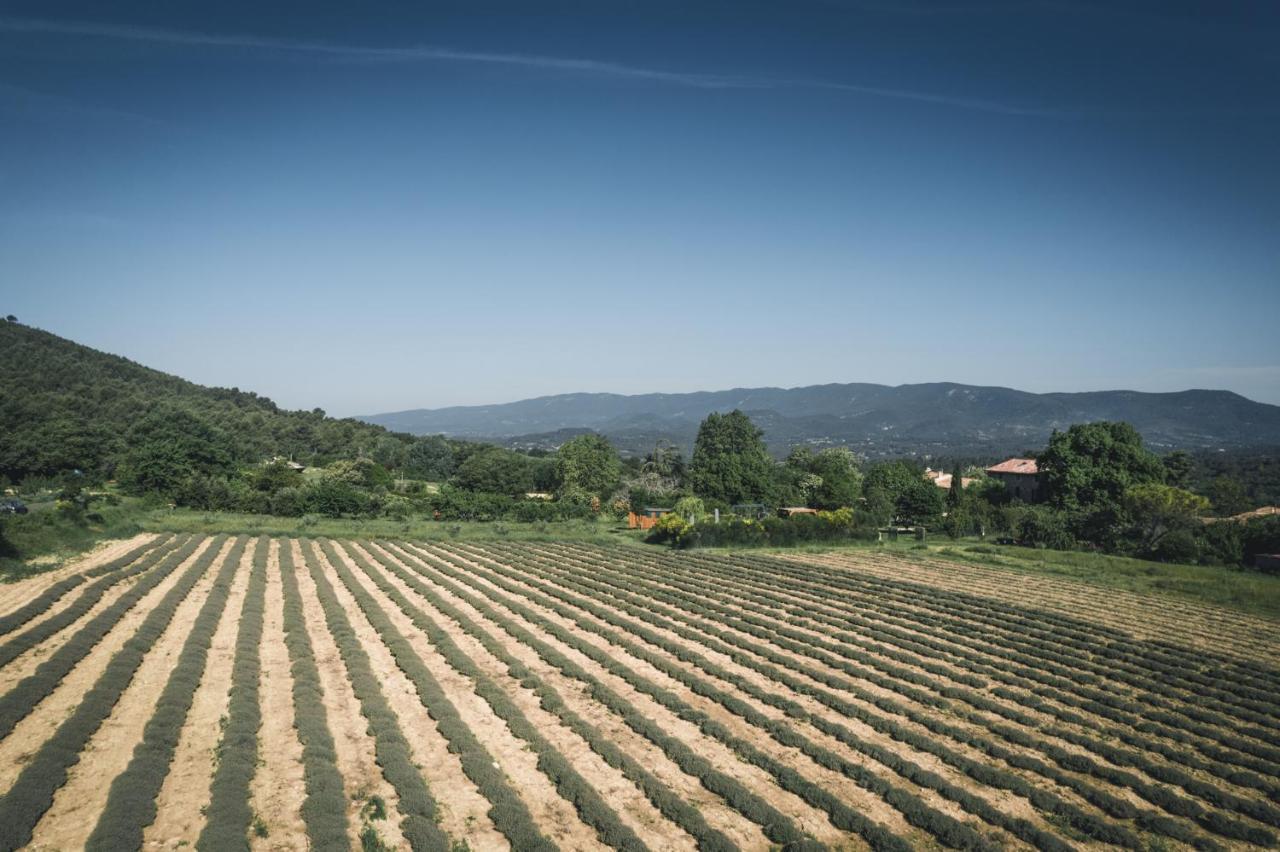 Studio Sud Luberon Grambois Esterno foto